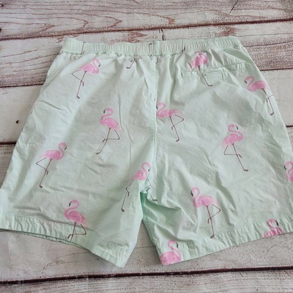 Modern Amusement Swim Trunks Flamingo - Picture 2 of 5